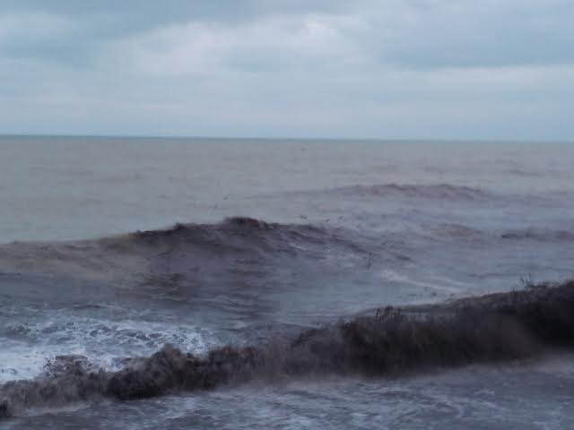 mare nero 4