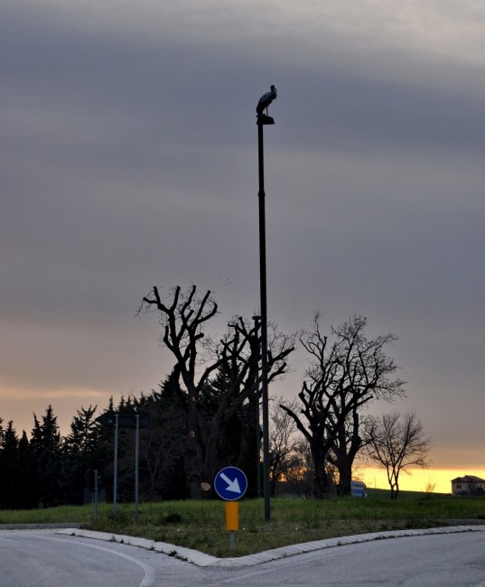 Cicogna 29-03-15_03_resize