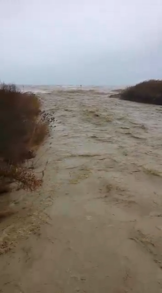 Il fiume Potenza alla foce, durante la piena di stamattina.