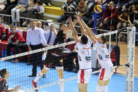 Kurek (3)