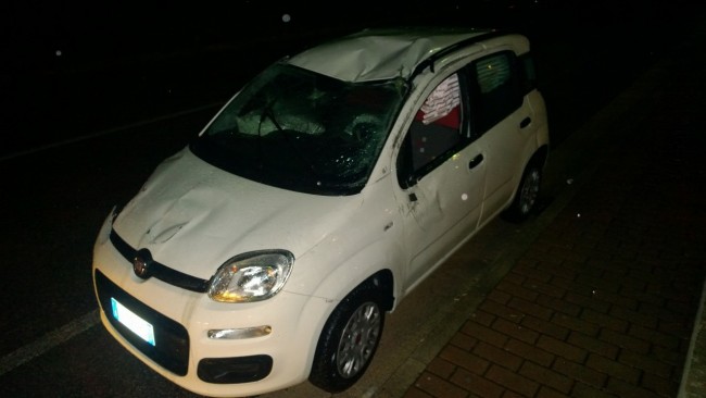 La Fiat Panda dopo l'intervento dei vigili del fuoco.