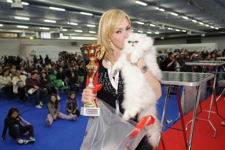 MONDOGATTO1vincitori2014