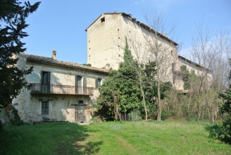 Molino Ciccolini Piediripa 2