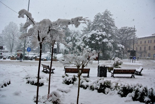 Neve Sarnano Michele Clementelli (1)