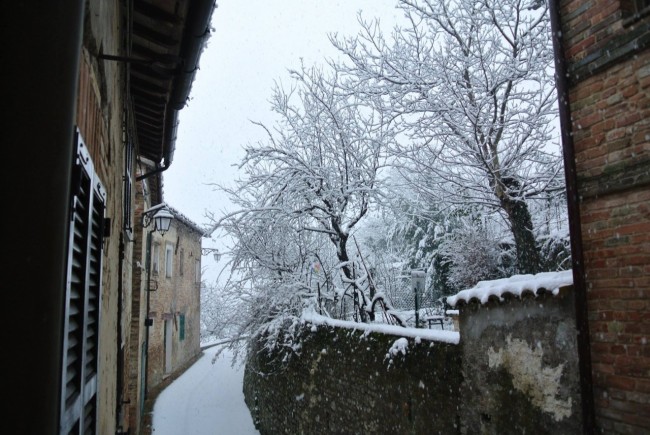 Neve a Sarnano - foto di Michele Clementelli