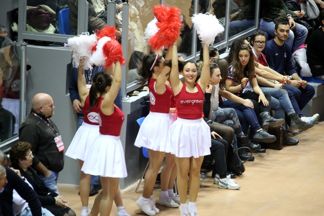 Tifosi Lube (3)