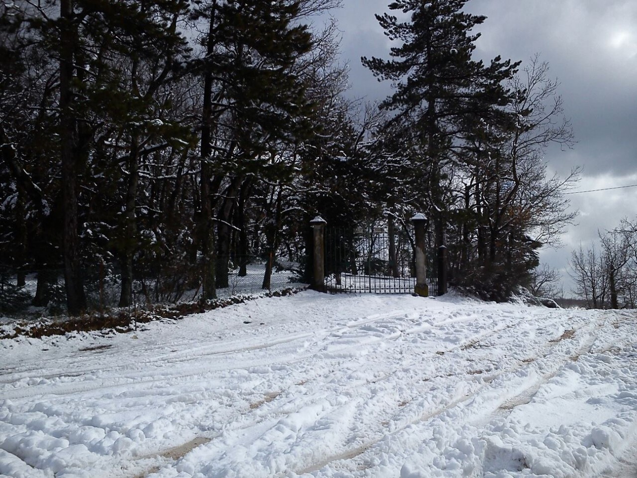 Un'altra immagine della neve a Cingoli