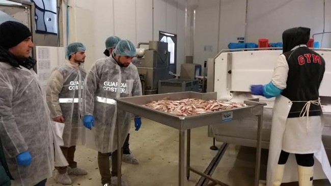 capitaneria pesce sequetrato 2
