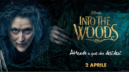 into the woods