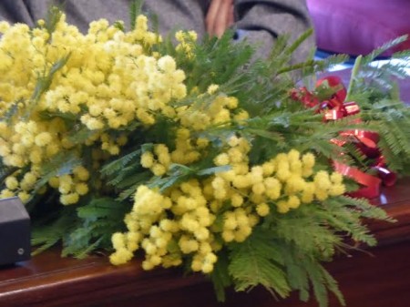 mimose