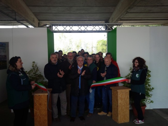 progetto_verde2-3-650x488