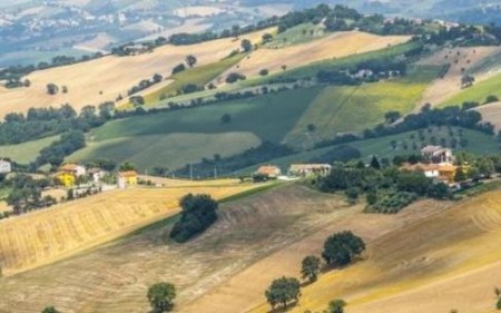 terreni