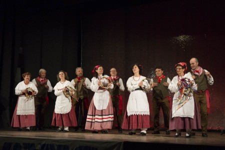 Avis Cingoli (2)