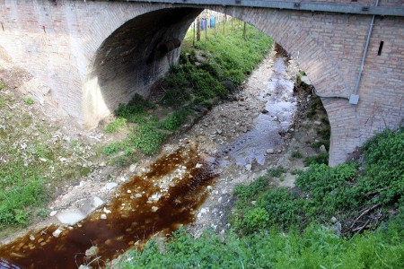 Fosso sporco Sforzacosta_FotoLB (1)