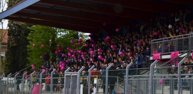 tole folgore 6