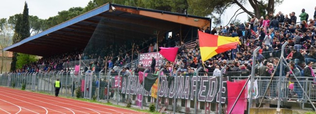 tole folgore 7