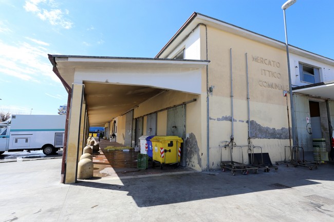 Mercato Ittico Civitanova Marche_Foto LB (2)