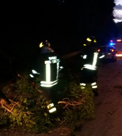 L'albero è stato rimosso dai vigili del fuoco