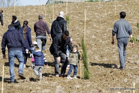 la piantumazione dei nuovi alberi per ogni nuovo nato