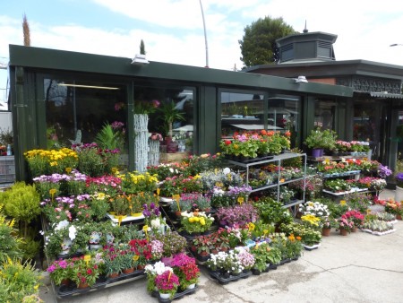 Uno stand di fiori al cimitero di Macerata