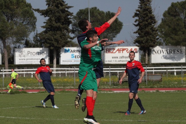 corridonia 2