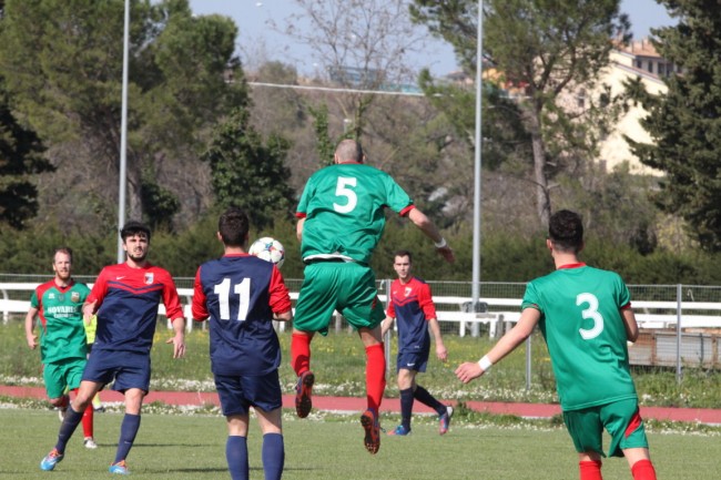 corridonia 3