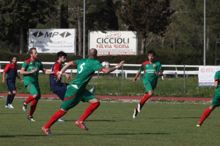 corridonia 4
