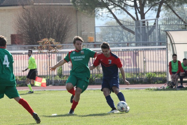 corridonia 5