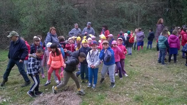 Le operazioni di piantumazione degli alberelli in località fosso Cerreto
