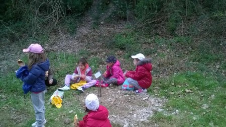 Le operazioni di piantumazione degli alberelli in località fosso Cerreto