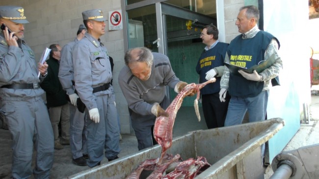 Le carni di ovino rinvenute nei mattatoi clandestini