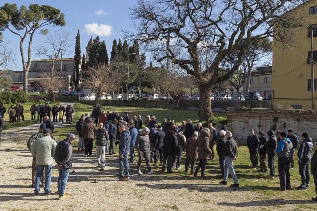 pallino d'oro (5)