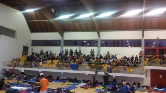 pellegrini palestra