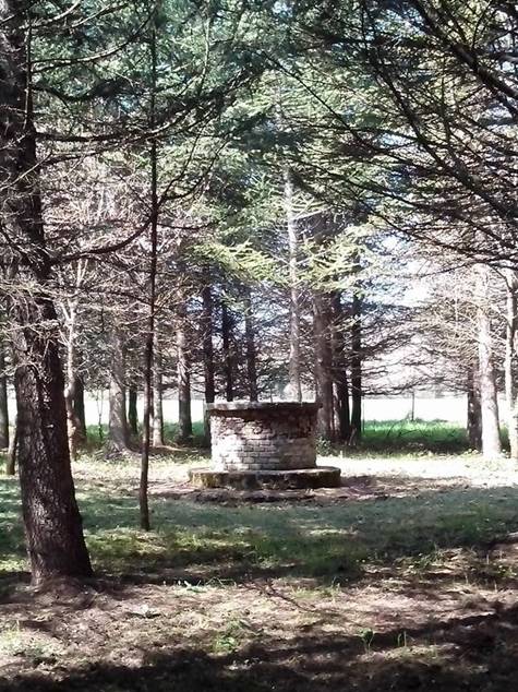 pievebovigliana (16)