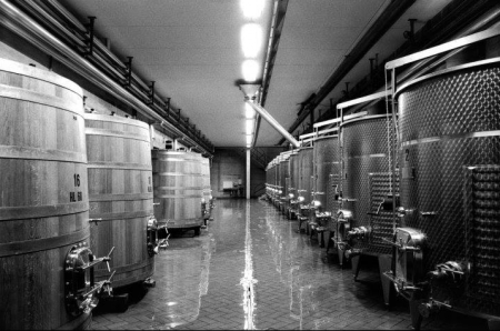 Cantine Fontezoppa