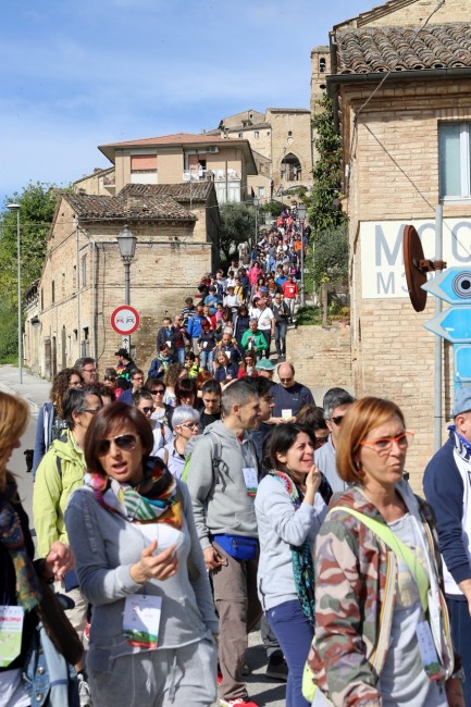 Magnalonga Mogliano 2015_Foto LB (10)