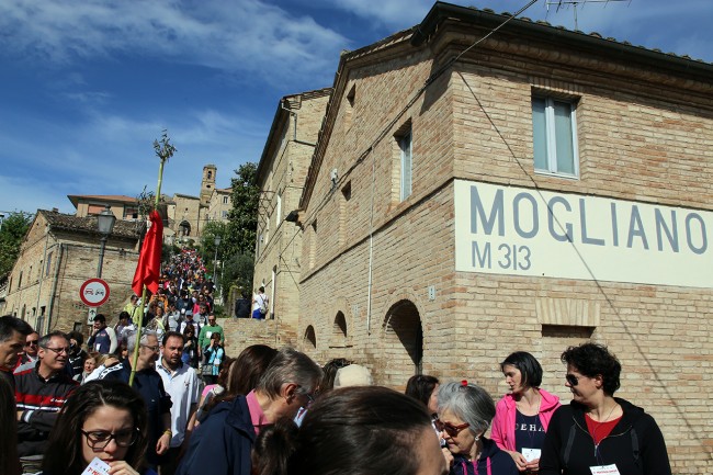 Magnalonga Mogliano 2015_Foto LB (9)
