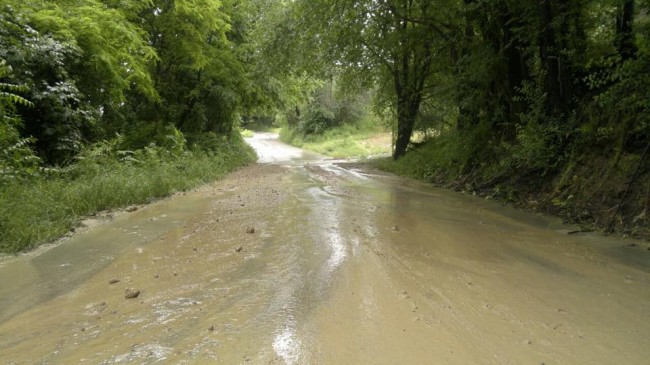 L'acqua e il fango lungo la strada provinciale a Montegranaro