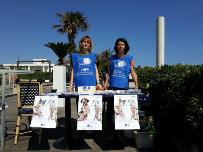 Lo stand dell'Oipa in spiaggia con due volontarie animaliste
