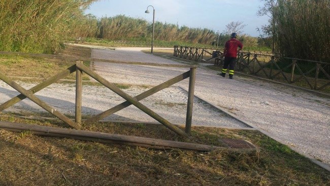 Il palo caduto sulla pista ciclabile