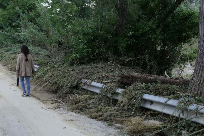 Alberi travolti dalla bomba d'acqua