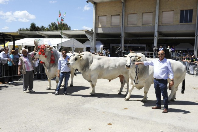 TORI premiati_DSC1001