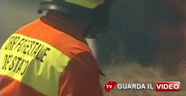 Clicca sull'immagine per guardare il video degli interventi della forestale