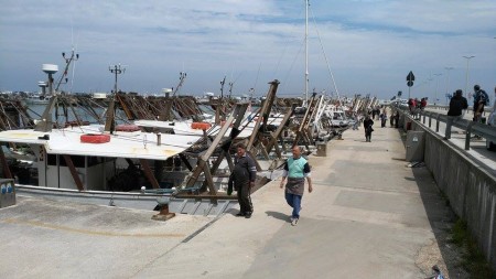 pescatori co gevo ancona