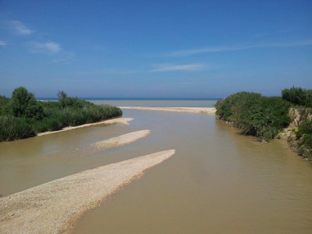 La-foce-del-fiume-Potenza-alle-15.-450x338