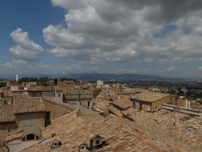Palazzo degli studi con impalcatura (16)