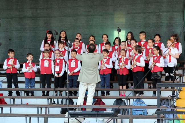 Pellegrinaggio 2015 stadio_Foto LB (8)