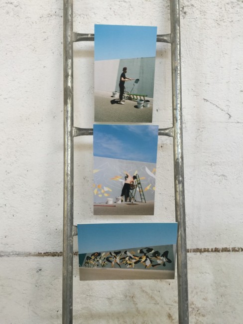 foto mostra 3