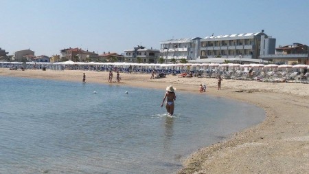 mare