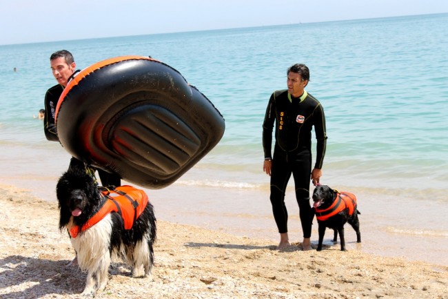 mare sicuro 2015 lungomare civitanova (70)